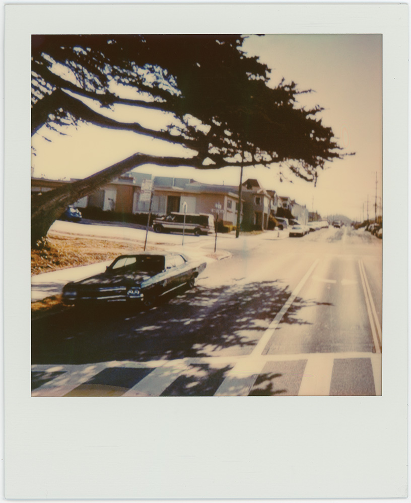 Polaroid 36